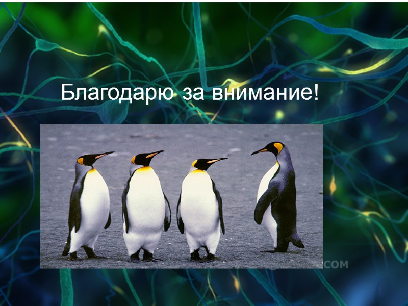 Благодарю за внимание!